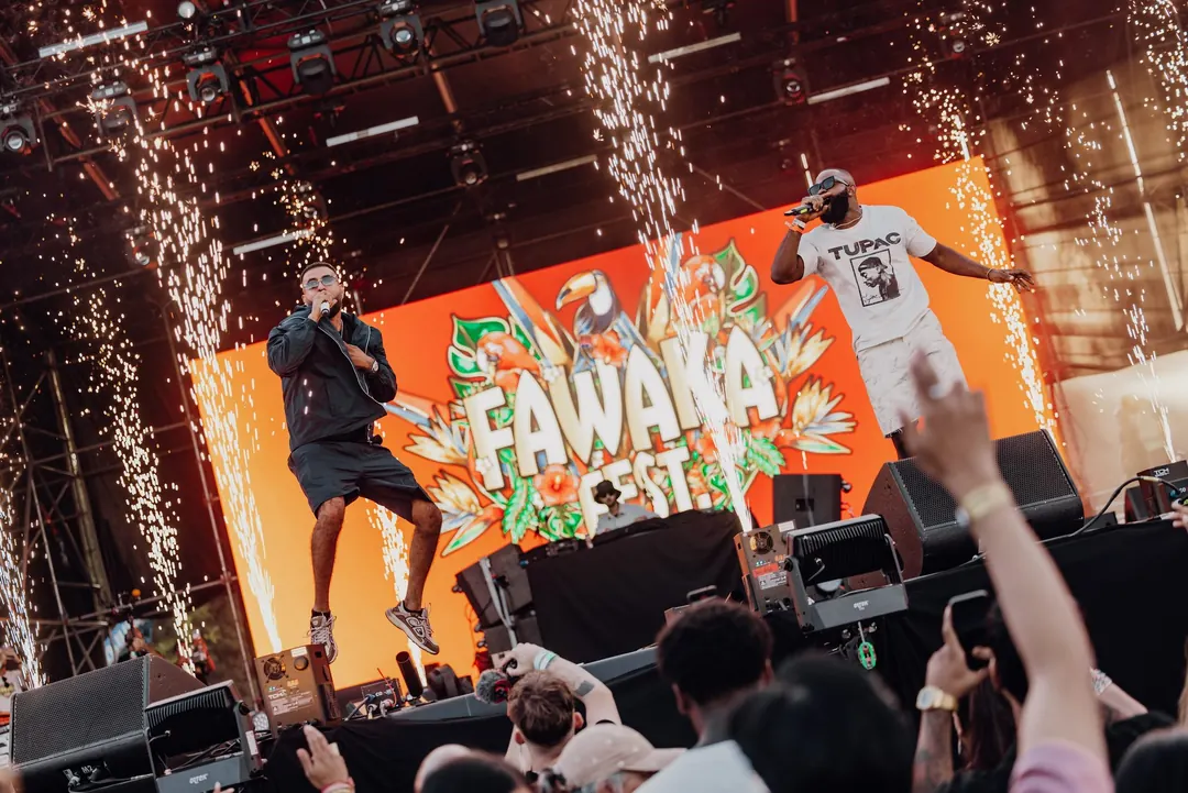 Artiest op de mainstage voor het Fawaka-decor met vuurwerk